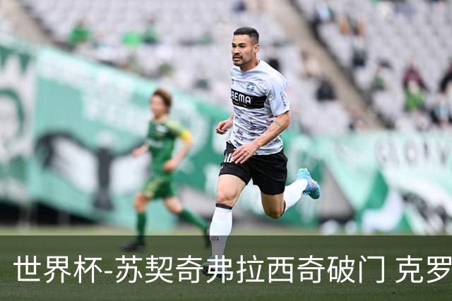 世界杯-苏契奇弗拉西奇破门 克罗地亚2-1加纳小组第二