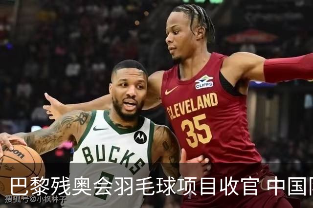 巴黎残奥会羽毛球项目收官 中国队斩获9金2银1铜