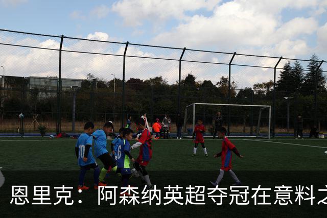 恩里克：阿森纳英超夺冠在意料之中，巴黎需继续改进
