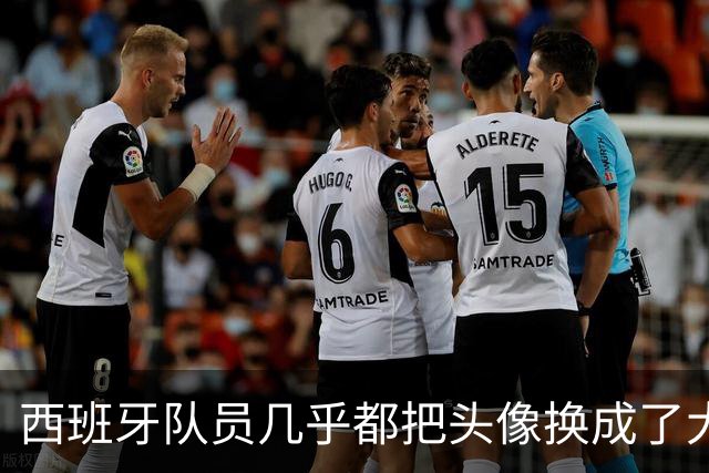 西班牙队员几乎都把头像换成了大力神杯照片，除了一位中二小孩